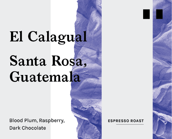 ONLINE STORE CLOSED - ANY ORDERS PLACED WILL SHIP 06/01/25 - El Calagual, Guatemala - Espresso Roast