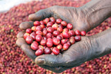 Kagumoini, Kenya - Filter Roast