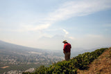 Santa Clara Estate, Guatemala - Filter Roast